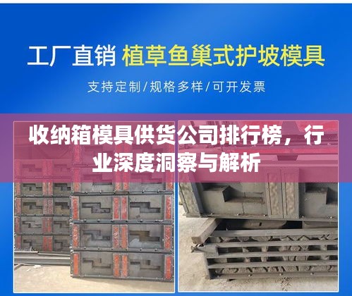 收納箱模具供貨公司排行榜，行業(yè)深度洞察與解析
