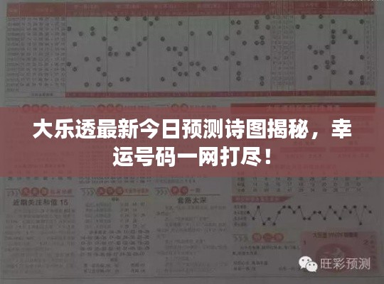 大樂透最新今日預測詩圖揭秘，幸運號碼一網(wǎng)打盡！