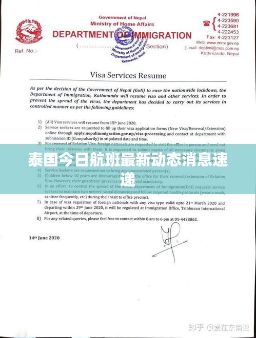 泰國今日航班最新動態(tài)消息速遞