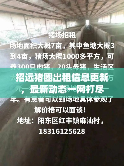 招遠豬圈出租信息更新，最新動態(tài)一網(wǎng)打盡