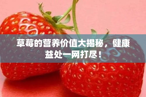 草莓的營(yíng)養(yǎng)價(jià)值大揭秘，健康益處一網(wǎng)打盡！