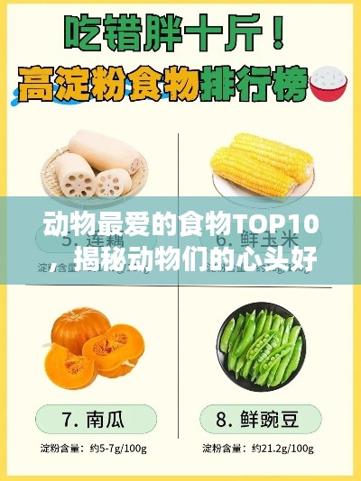 動物最愛的食物TOP10，揭秘動物們的心頭好榜單