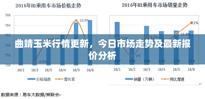 曲靖玉米行情更新，今日市場走勢及最新報價分析