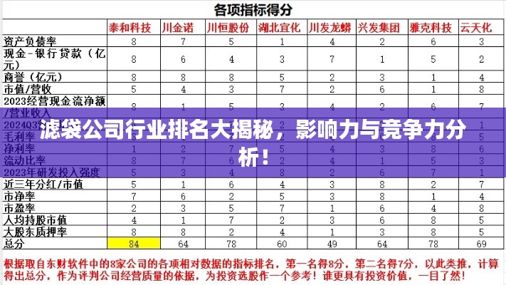 濾袋公司行業(yè)排名大揭秘，影響力與競(jìng)爭(zhēng)力分析！