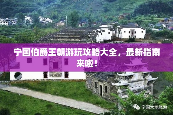 寧國(guó)伯爵王朝游玩攻略大全，最新指南來(lái)啦！