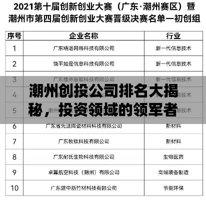 潮州創(chuàng)投公司排名大揭秘，投資領(lǐng)域的領(lǐng)軍者探索