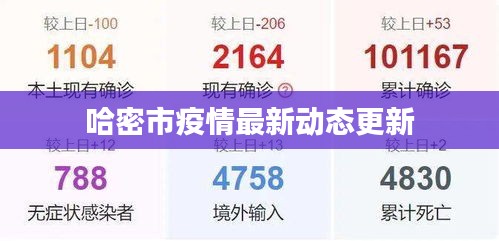 哈密市疫情最新動態(tài)更新