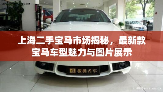上海二手寶馬市場揭秘，最新款寶馬車型魅力與圖片展示