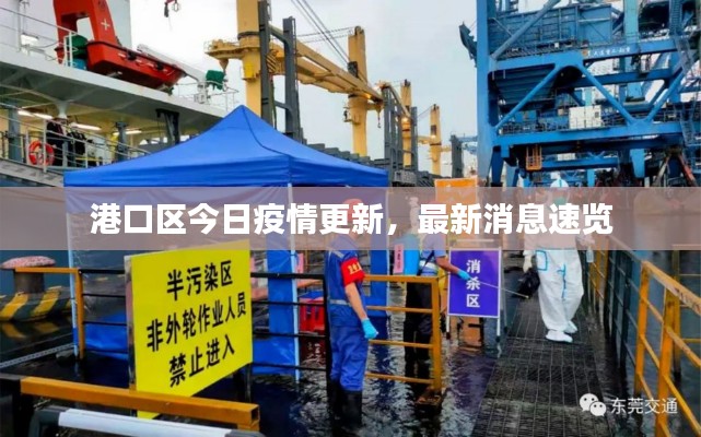 港口區(qū)今日疫情更新，最新消息速覽