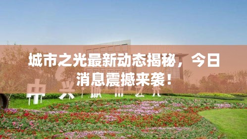 城市之光最新動態(tài)揭秘，今日消息震撼來襲！