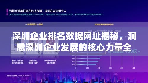 深圳企業(yè)排名數(shù)據(jù)網(wǎng)址揭秘，洞悉深圳企業(yè)發(fā)展的核心力量全攻略