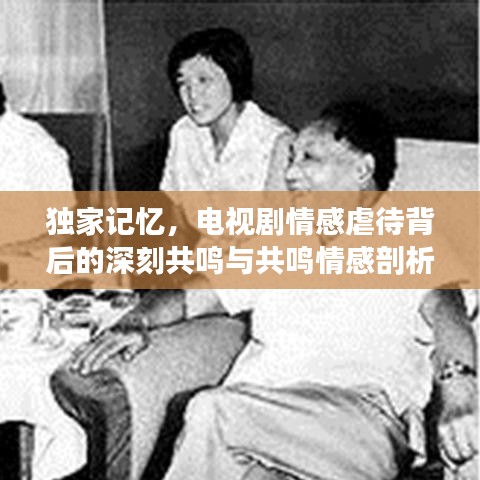 獨(dú)家記憶，電視劇情感虐待背后的深刻共鳴與共鳴情感剖析