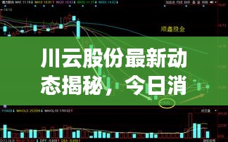 川云股份最新動(dòng)態(tài)揭秘，今日消息一網(wǎng)打盡！
