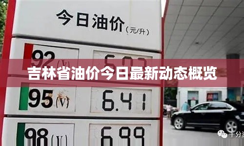 吉林省油價今日最新動態(tài)概覽