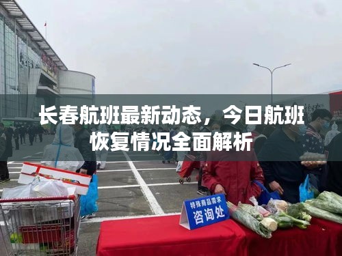 長(zhǎng)春航班最新動(dòng)態(tài)，今日航班恢復(fù)情況全面解析