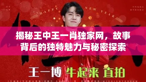 揭秘王中王一肖獨(dú)家網(wǎng)，故事背后的獨(dú)特魅力與秘密探索