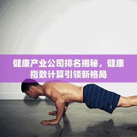 健康產業(yè)公司排名揭秘，健康指數(shù)計算引領新格局