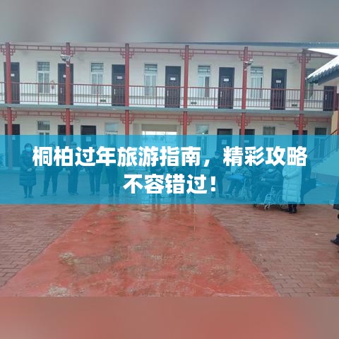 桐柏過年旅游指南，精彩攻略不容錯(cuò)過！