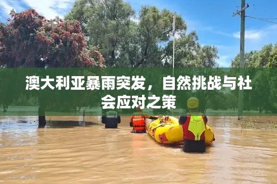 澳大利亞暴雨突發(fā)，自然挑戰(zhàn)與社會(huì)應(yīng)對(duì)之策