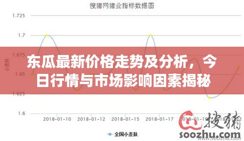 東瓜最新價格走勢及分析，今日行情與市場影響因素揭秘