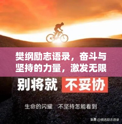 樊綱勵志語錄，奮斗與堅持的力量，激發(fā)無限潛能！