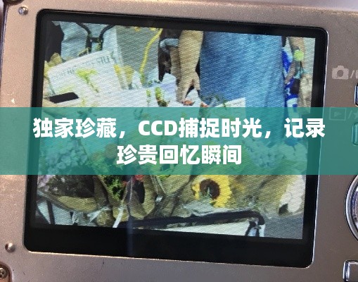 獨(dú)家珍藏，CCD捕捉時(shí)光，記錄珍貴回憶瞬間