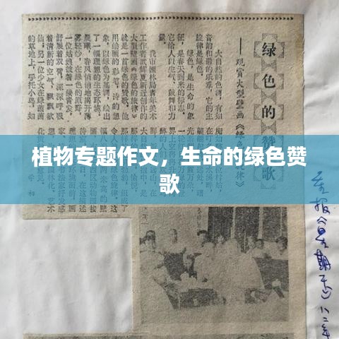 植物專題作文，生命的綠色贊歌