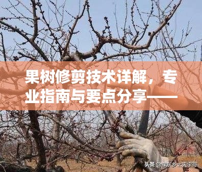 果樹(shù)修剪技術(shù)詳解，專(zhuān)業(yè)指南與要點(diǎn)分享——百度知識(shí)課堂