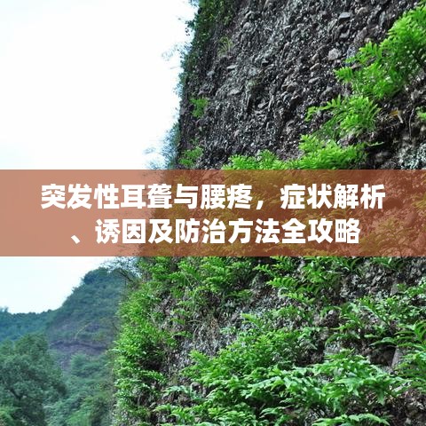 突發(fā)性耳聾與腰疼，癥狀解析、誘因及防治方法全攻略