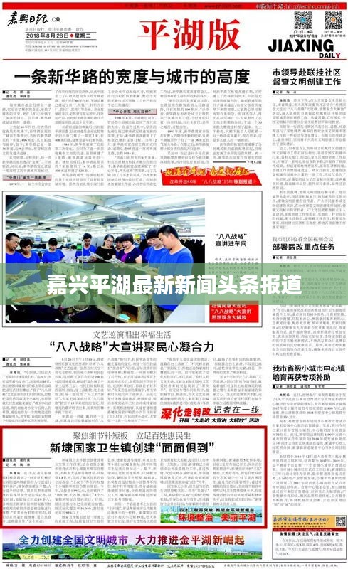 嘉興平湖最新新聞頭條報道