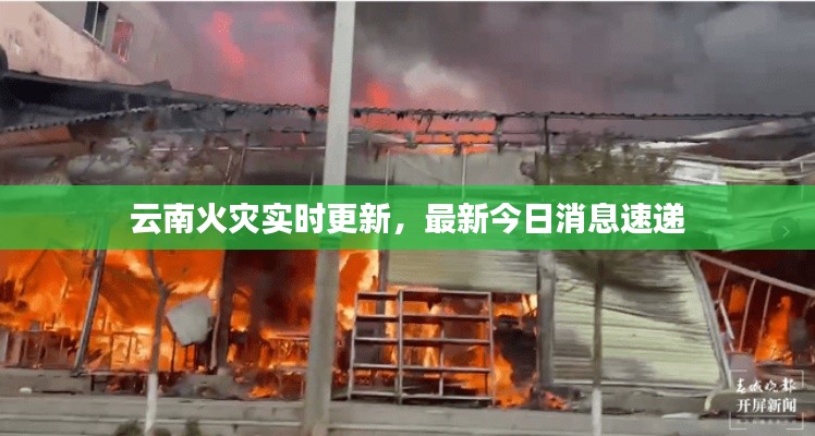 云南火災(zāi)實時更新，最新今日消息速遞