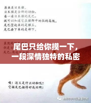 尾巴只給你摸一下，一段深情獨特的私密故事