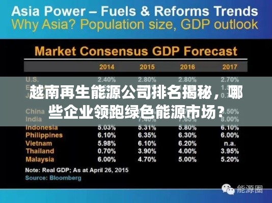越南再生能源公司排名揭秘，哪些企業(yè)領(lǐng)跑綠色能源市場？