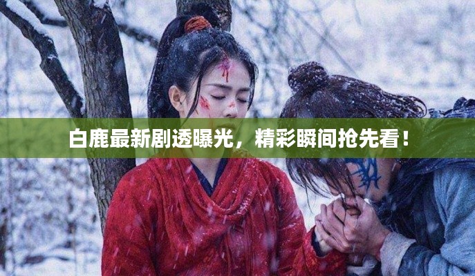 白鹿最新劇透曝光，精彩瞬間搶先看！