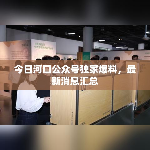 今日河口公眾號獨家爆料，最新消息匯總