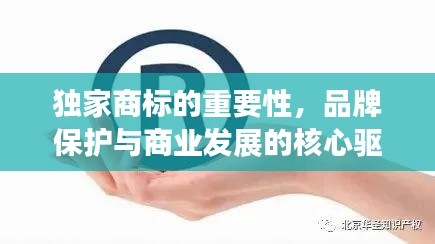 獨家商標的重要性，品牌保護與商業(yè)發(fā)展的核心驅(qū)動力