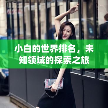 小白的世界排名，未知領(lǐng)域的探索之旅