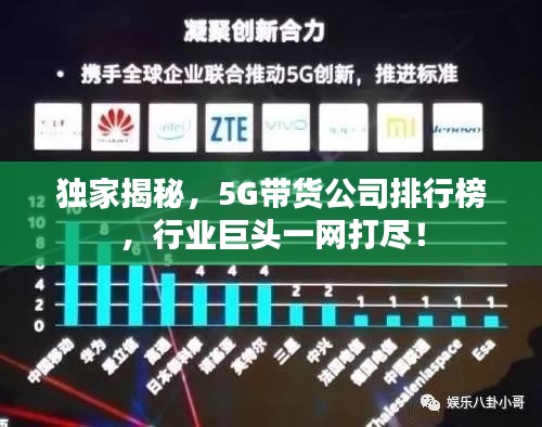 獨家揭秘，5G帶貨公司排行榜，行業(yè)巨頭一網(wǎng)打盡！