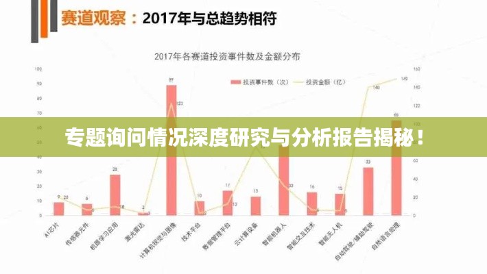 專題詢問情況深度研究與分析報告揭秘！