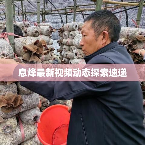 息烽最新視頻動態(tài)探索速遞