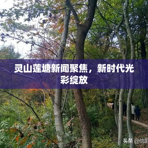 靈山蓮塘新聞聚焦，新時(shí)代光彩綻放