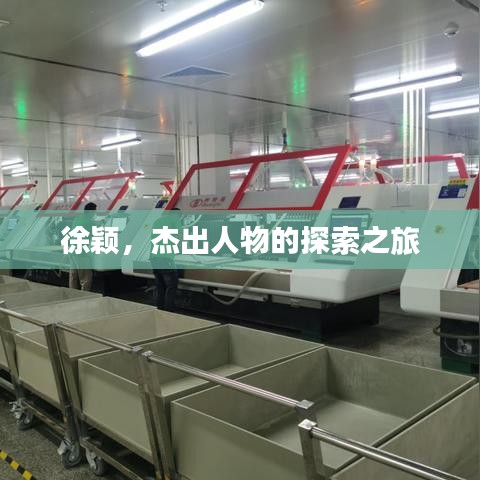 徐穎，杰出人物的探索之旅