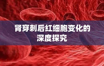 腎穿刺后紅細(xì)胞變化的深度探究