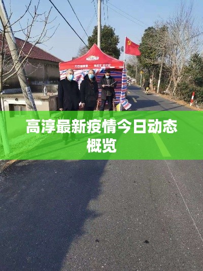 高淳最新疫情今日動(dòng)態(tài)概覽