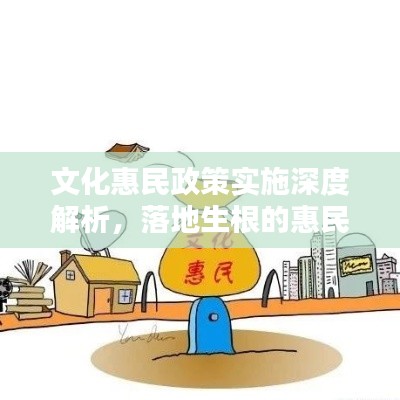 文化惠民政策實施深度解析，落地生根的惠民之路