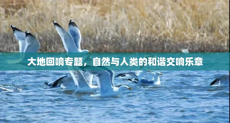 大地回響專題，自然與人類的和諧交響樂章